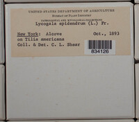 Image Associated With the Occurence